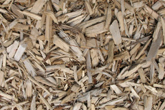 biomass boilers Toftwood